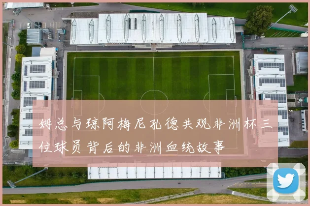 姆总与琼阿梅尼孔德共观非洲杯三位球员背后的非洲血统故事