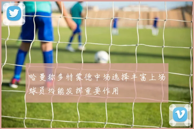 哈曼称多特蒙德中场选择丰富上场球员均能发挥重要作用