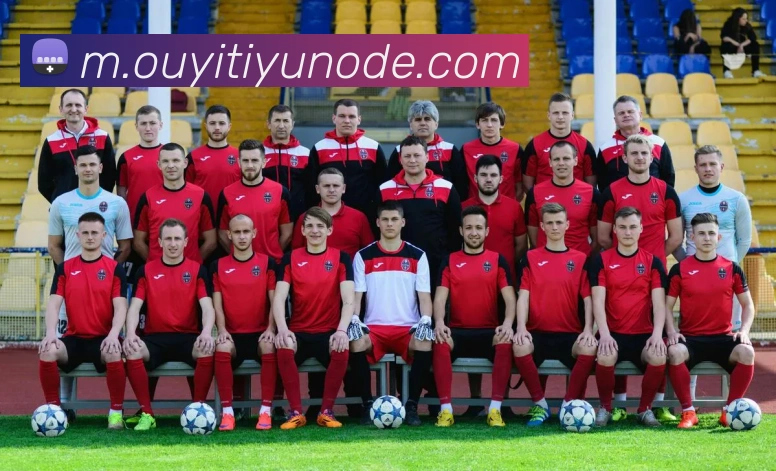 App Interface Preview