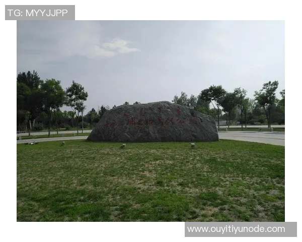 贝宁足球的重塑之路:不归门前的叹息与期待跨越半世纪的梦想